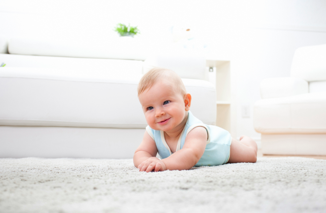 Quanto tempo preciso lavar meus tapetes e carpetes?