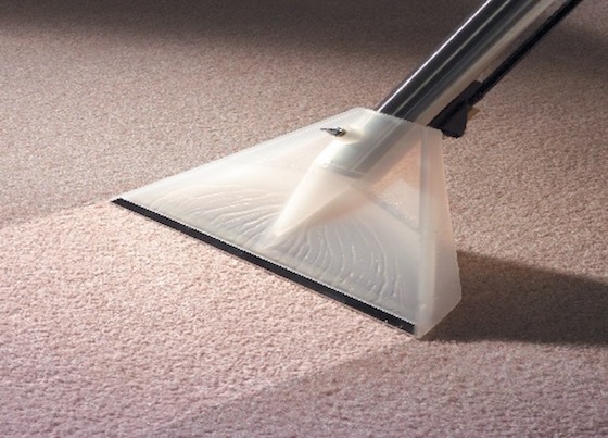 Como realizar a lavagem e limpeza de carpetes e tapetes?